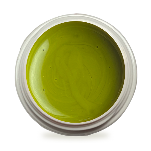 5ml UV Exclusiv Farbgel Pure Pistachio