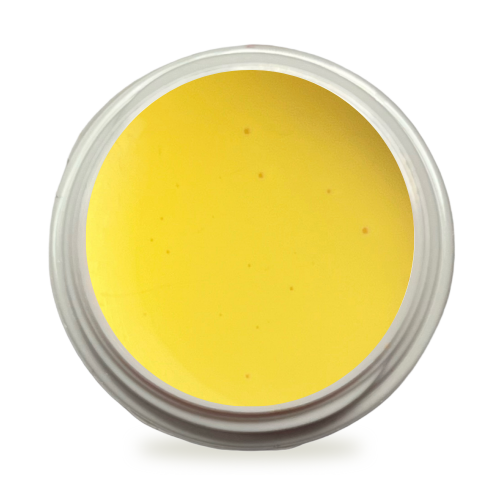 5ml UV Exclusiv Soak Off Farbgel Pure Zitronengelb