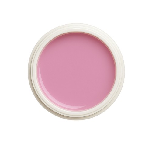 EINFÜHRUNGSPREIS Fiberglasgel Fresie – Elegance Blossom Collection