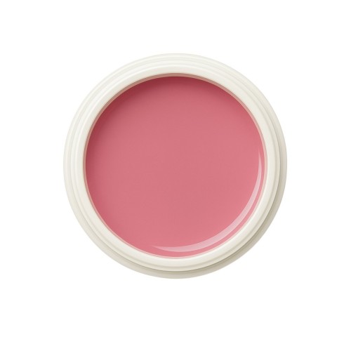 EINFÜHRUNGSPREIS Fiberglasgel Wildrose – Elegance Blossom Collection