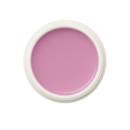 EINFÜHRUNGSPREIS Fiberglasgel Magnolie – Elegance Blossom Collection