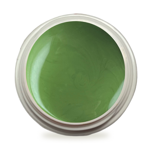 5ml UV Exclusiv Farbgel Pure Color Palm