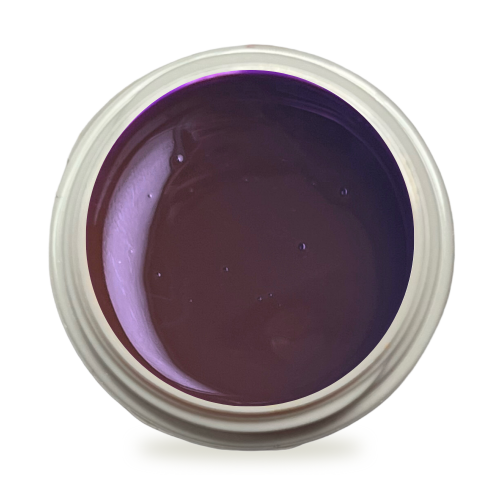 5ml UV Exclusiv Farbgel Pure Color Pflaume