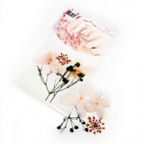 Trockenblumen - Blüten Mix -Rosa