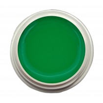 5ml UV Exclusiv Farbgel Wet look Hellgrün