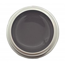5ml UV Exclusiv Farbgel Nude Toffee Taupe 