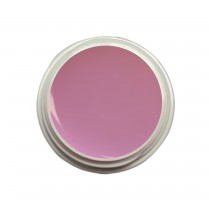 EINFÜHRUNGSPREIS Fiberglasgel Fresie – Elegance Blossom Collection