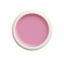 EINFÜHRUNGSPREIS Fiberglasgel Fresie – Elegance Blossom Collection