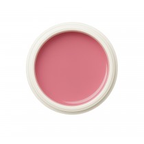 EINFÜHRUNGSPREIS Fiberglasgel Wildrose – Elegance Blossom Collection