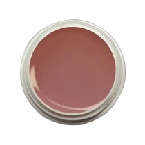 EINFÜHRUNGSPREIS Fiberglasgel Wildrose – Elegance Blossom Collection