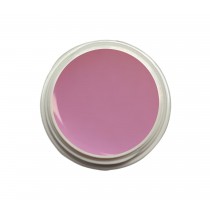 EINFÜHRUNGSPREIS Fiberglasgel Fresie – Elegance Blossom Collection