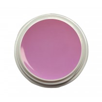 EINFÜHRUNGSPREIS Fiberglasgel Magnolie – Elegance Blossom Collection