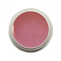 EINFÜHRUNGSPREIS Fiberglasgel Wildrose – Elegance Blossom Collection