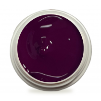 5ml UV Painting Gel Fig