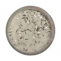 Acryl Puder Farbig Confetti Silver 3g