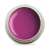 5ml UV Exclusiv Farbgel Pure Color Autumn Fuchsia