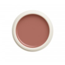 EINFÜHRUNGSPREIS Fiberglasgel Sandlilie – Blossom Collection Collection
