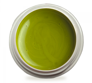 5ml UV Exclusiv Farbgel Pure Pistachio