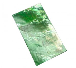 1x Muschel Folie-Selbstklebend-Hell Pastell Grün