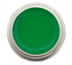 5ml UV Exclusiv Farbgel Wet look Hellgrün