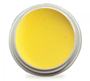 5ml UV Exclusiv Soak Off Farbgel Pure Zitronengelb