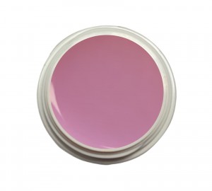 EINFÜHRUNGSPREIS Fiberglasgel Fresie – Elegance Blossom Collection