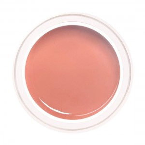 Treasure Fiberglas Gel Pale Light