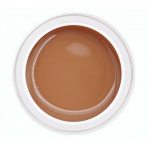 Treasure Fiberglas Gel Caramel