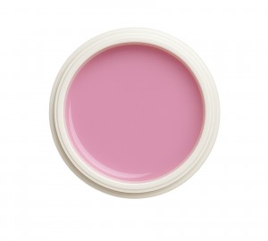 EINFÜHRUNGSPREIS Fiberglasgel Fresie – Elegance Blossom Collection