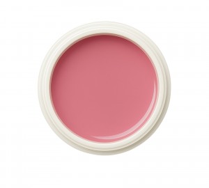 EINFÜHRUNGSPREIS Fiberglasgel Wildrose – Elegance Blossom Collection