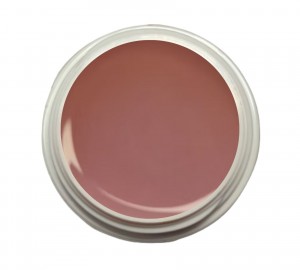 EINFÜHRUNGSPREIS Fiberglasgel Wildrose – Elegance Blossom Collection