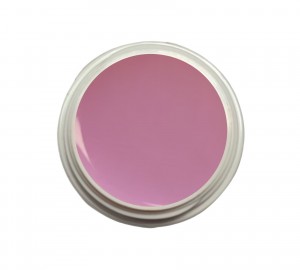 EINFÜHRUNGSPREIS Fiberglasgel Fresie – Elegance Blossom Collection