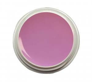 EINFÜHRUNGSPREIS Fiberglasgel Magnolie – Elegance Blossom Collection