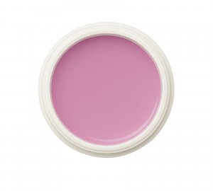 EINFÜHRUNGSPREIS Fiberglasgel Magnolie – Elegance Blossom Collection
