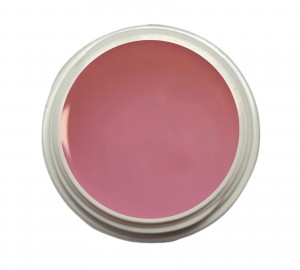 EINFÜHRUNGSPREIS Fiberglasgel Wildrose – Elegance Blossom Collection