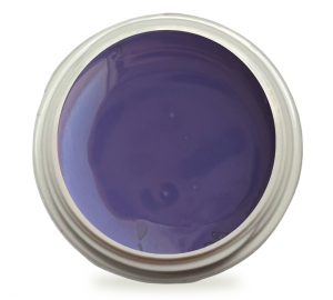 5ml UV Exclusiv Farbgel Nude Grape