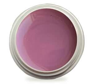 5ml UV Exclusiv Farbgel Nude Misty Rose