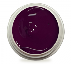 5ml UV Painting Gel Fig