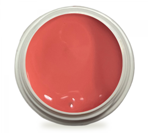 5ml UV Painting Gel Fruity