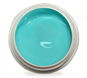5ml UV Painting Gel Palma