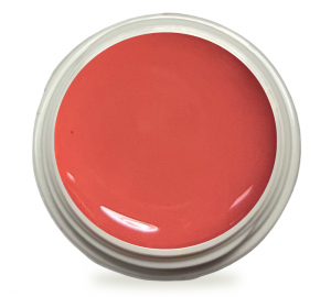 5ml UV Painting Gel Salmon