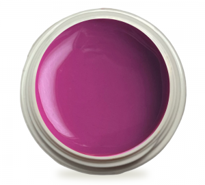 5ml UV Exclusiv Farbgel Pure Color Autumn Fuchsia