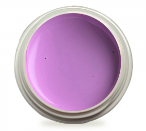 5ml UV Exclusiv Farbgel Pure Color Flieder