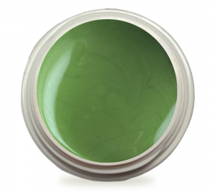5ml UV Exclusiv Farbgel Pure Color Palm
