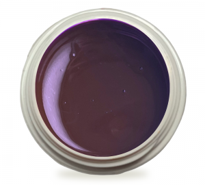 5ml UV Exclusiv Farbgel Pure Color Pflaume